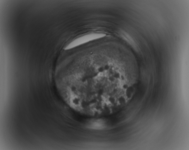 X0000092100169200710031219