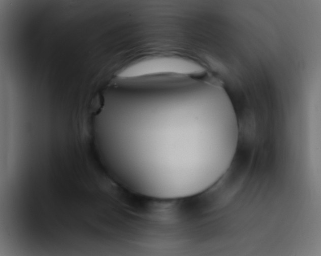 X0000092100170200710031219