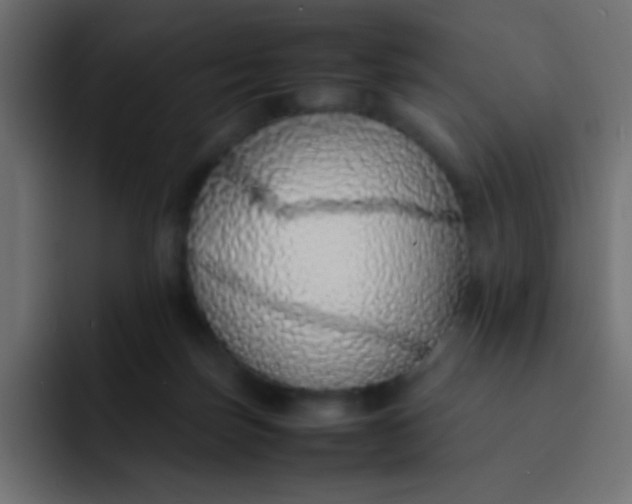 X0000092100171200710031219