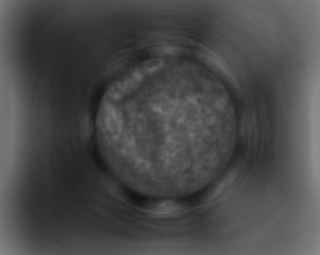 X0000092100173200710031219