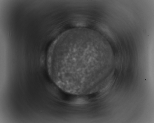 X0000092100175200710031219