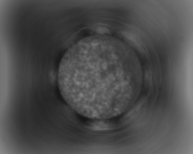 X0000092100177200710031219