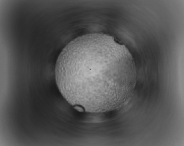 X0000092100179200710031219