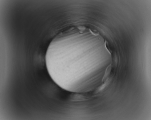 X0000092100180200710031219