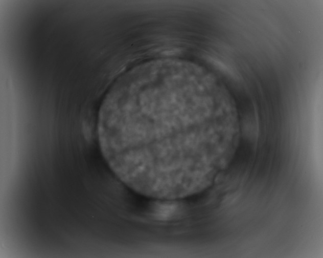 X0000092100181200710031219