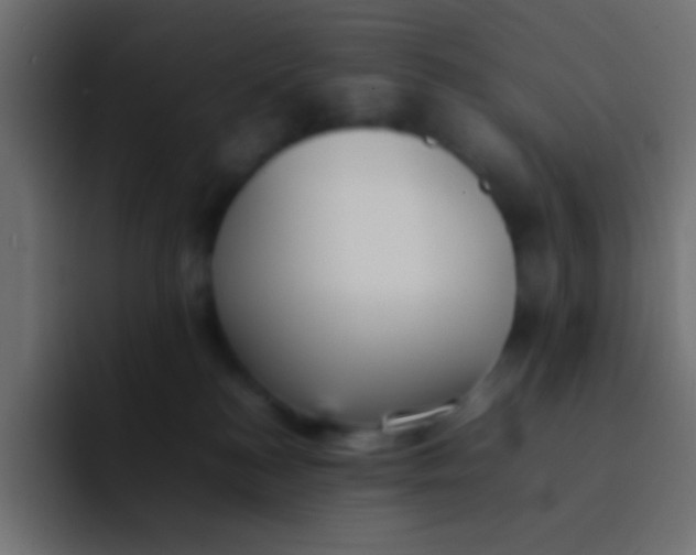 X0000092100184200710031219