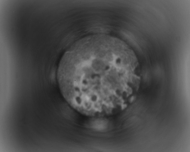 X0000092100185200710031219