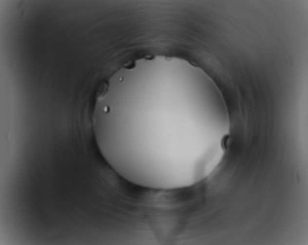 X0000092100186200710031219