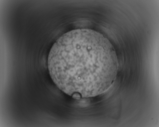 X0000092100187200710031219