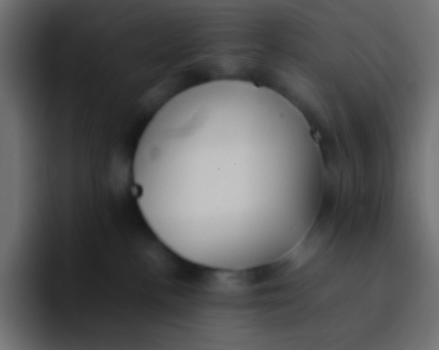 X0000092100188200710031219