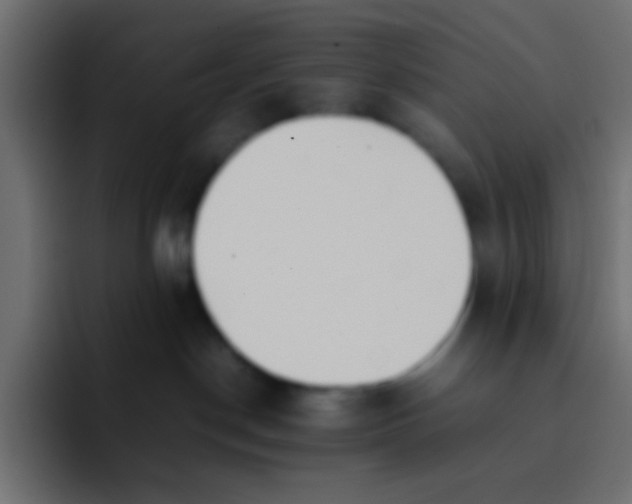 X0000092100190200710031219