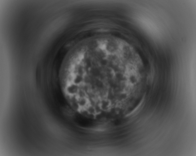 X0000092100191200710031219