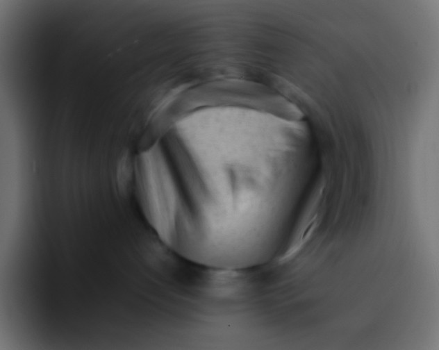 X0000092100192200710031219