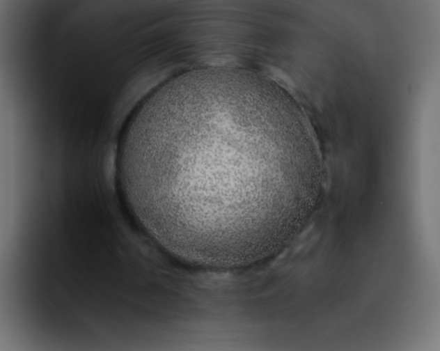 X0000092100194200710031218