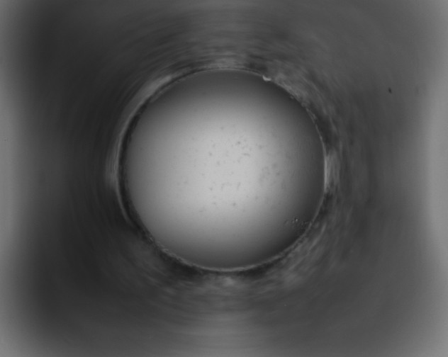 X0000092100195200710031218