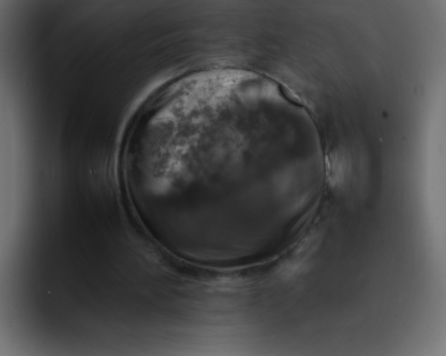 X0000092100196200710031218