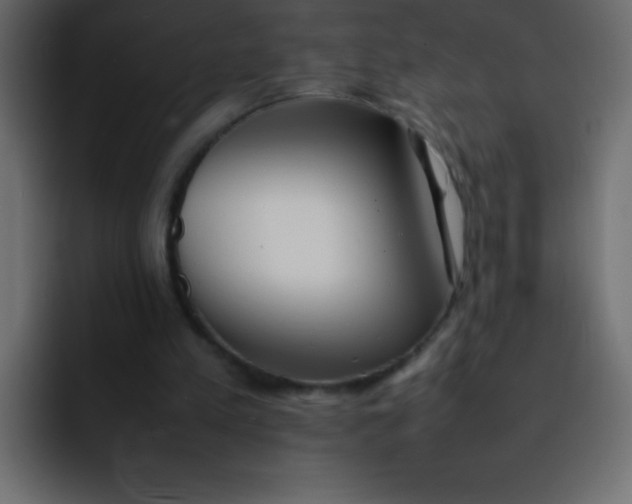 X0000092100197200710031218