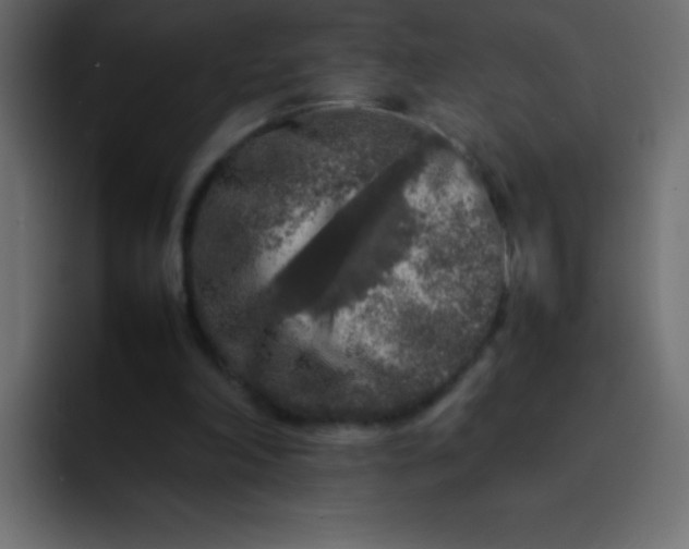 X0000092100198200710031218