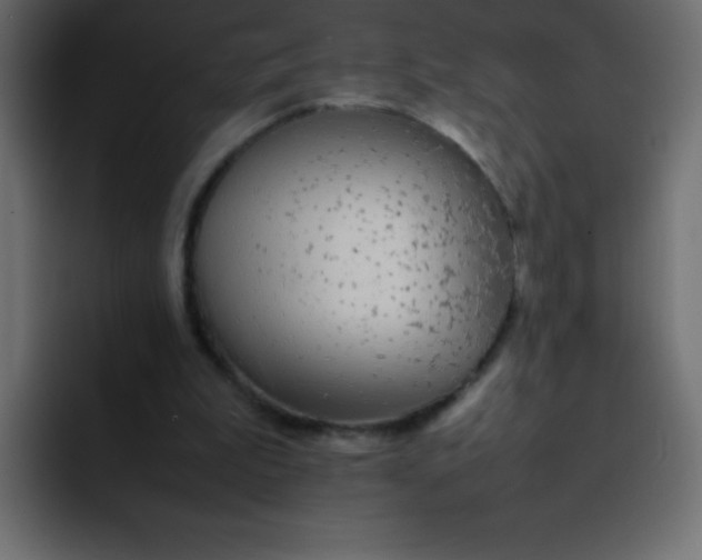 X0000092100199200710031218