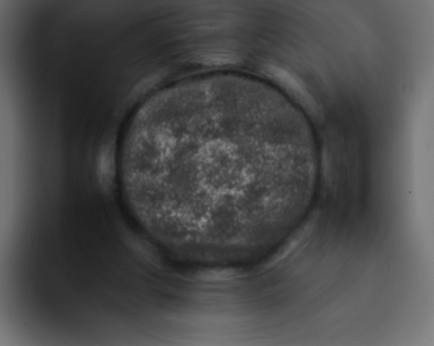 X0000092100202200710031218