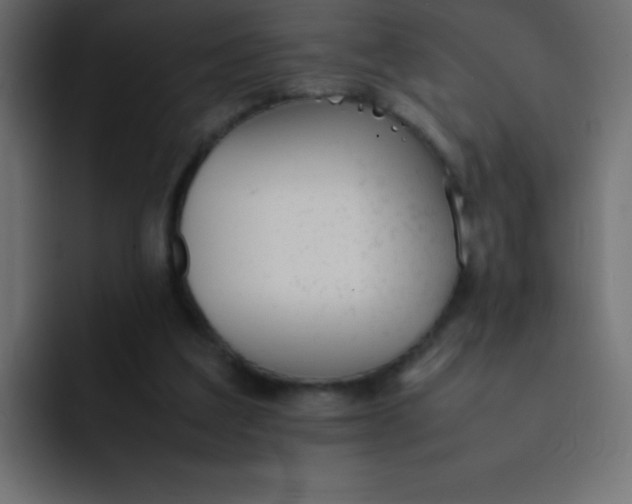 X0000092100203200710031218