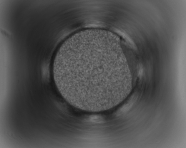 X0000092100204200710031218