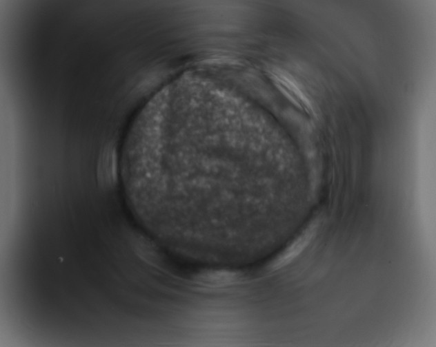 X0000092100205200710031218