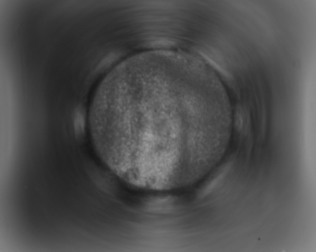 X0000092100206200710031218