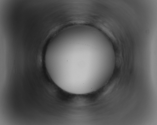 X0000092100207200710031218