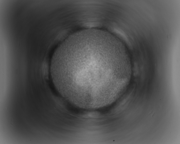 X0000092100210200710031218