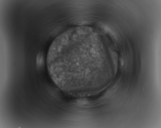 X0000092100214200710031218