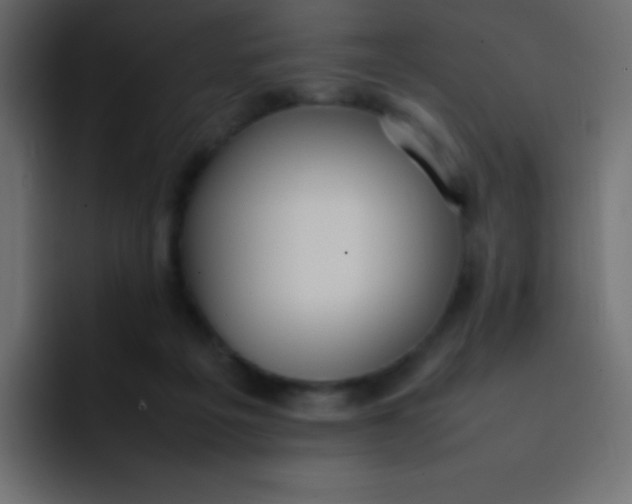 X0000092100217200710031218