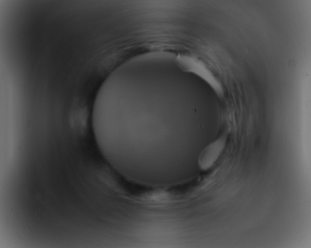 X0000092100219200710031218