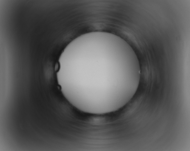 X0000092100220200710031218