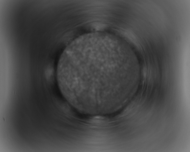 X0000092100222200710031218