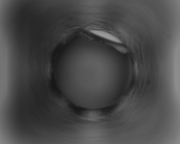 X0000092100223200710031218