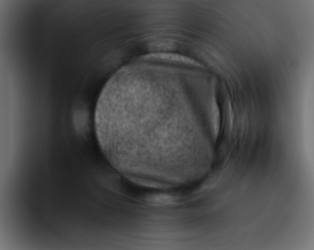 X0000092100224200710031218