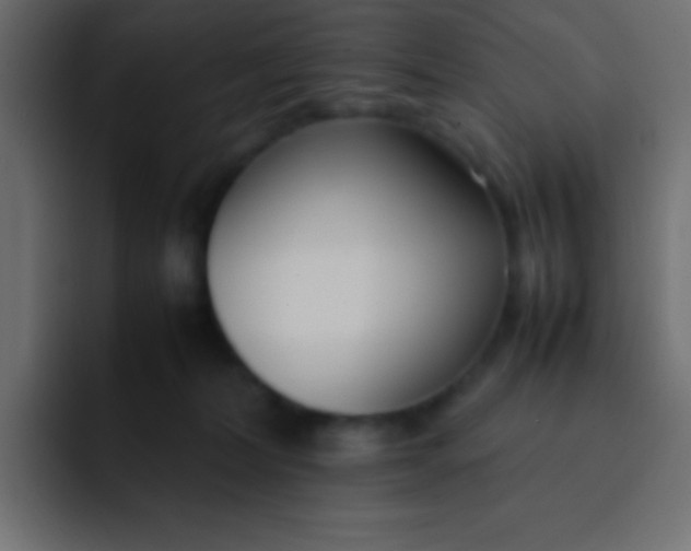 X0000092100228200710031218