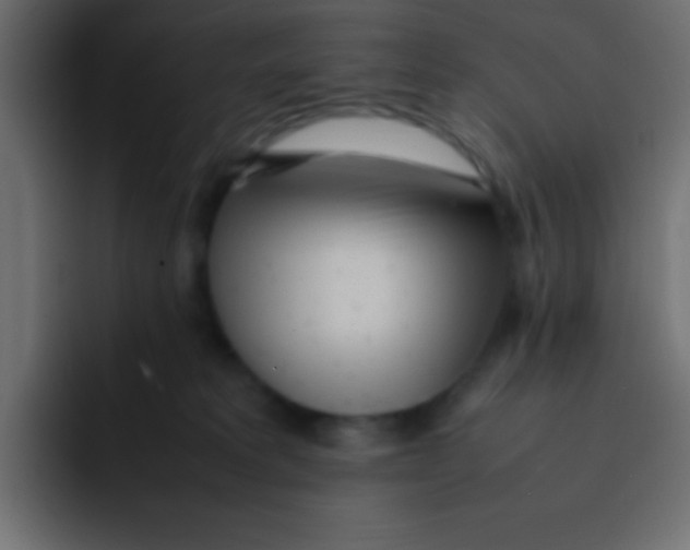 X0000092100229200710031218