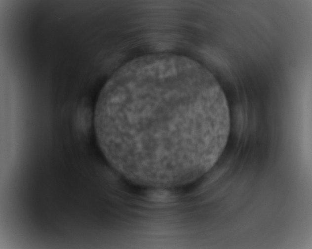 X0000092100230200710031218