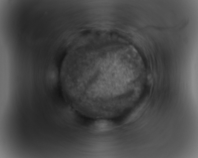 X0000092100231200710031218