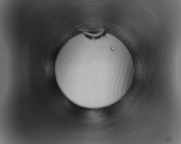 X0000092100232200710031218