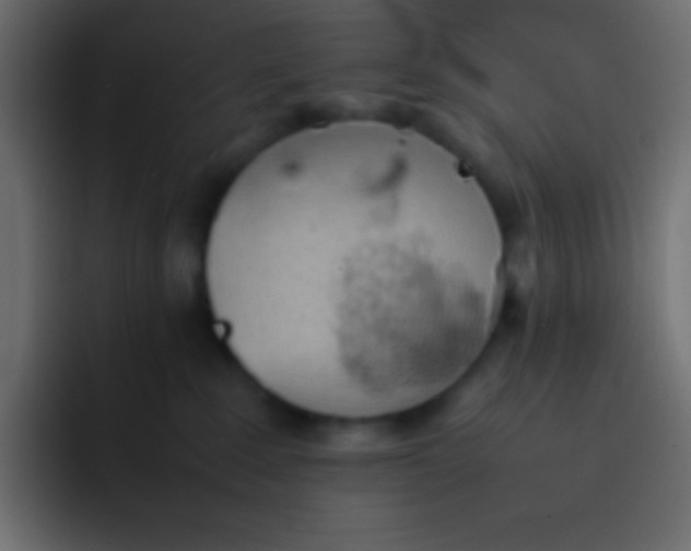 X0000092100235200710031218