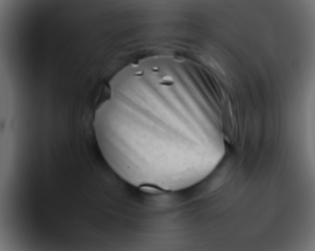 X0000092100237200710031218