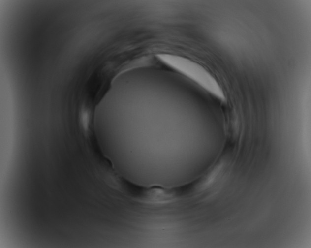 X0000092100239200710031218