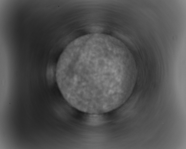 X0000092100240200710031218