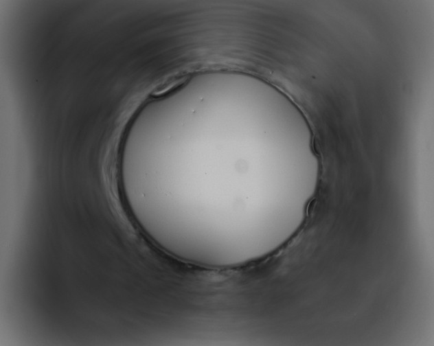 X0000092100241200710031217