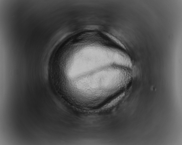 X0000092100243200710031217