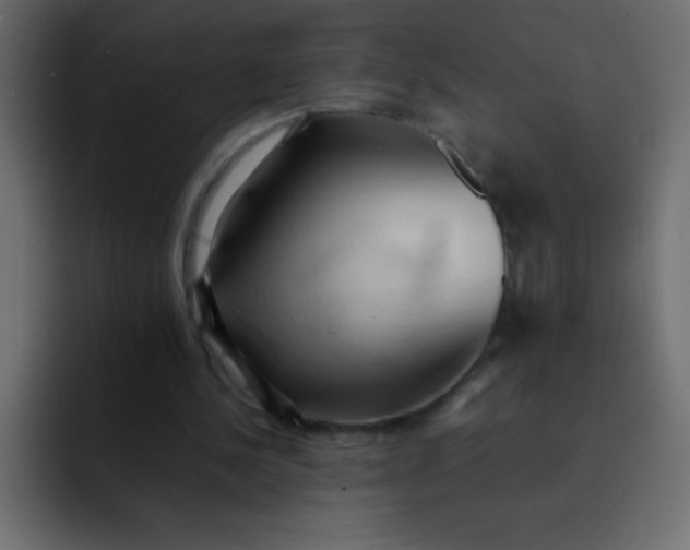 X0000092100244200710031217