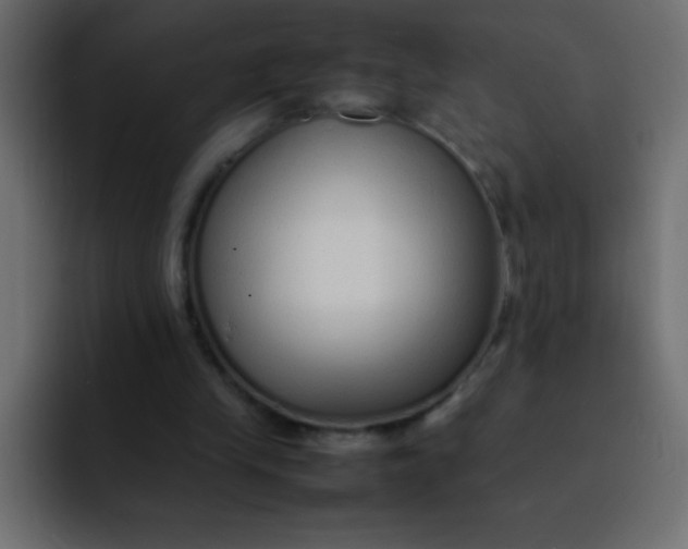 X0000092100245200710031217